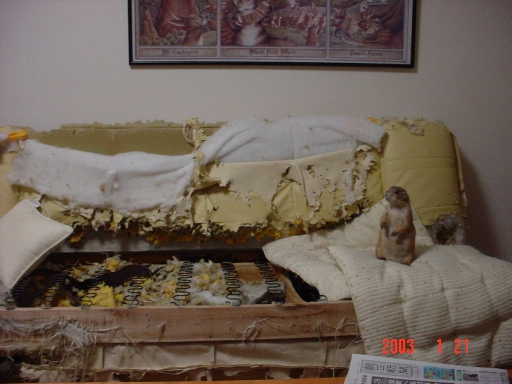 �̂������ȁE�E�E�B