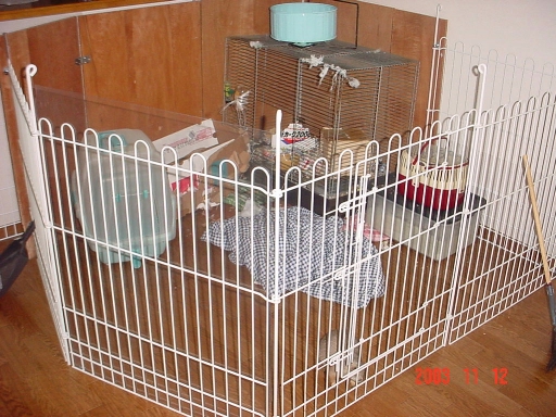 ����������Ԃ������p