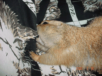 ���ʂ斳�ʖ��ʁI