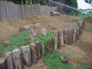 �������͉��Ńo�[�x�L���[�ł�